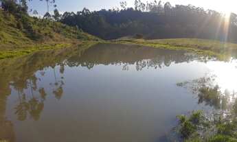 Imagem 5: Terreno rural com 6 hectares em Lageado Águas Negras - Ituporanga - S.C