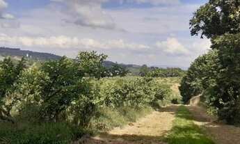 Imagem: SÍTIO - MACUCO - SP