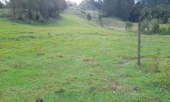 Imagem 2: LINDO SITIO 4 HECTARES - LOCALIDADE DE SUL BRASIL / TAMANDUA - RIO DO CAMPO -SC