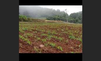 Imagem 4: Excelente área de terra..