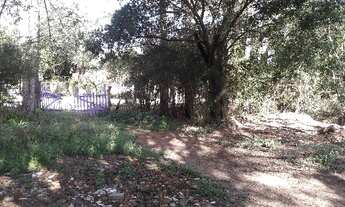 Imagem 5: Porto Alegre - Terreno Padrão - Lageado