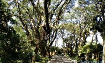 Imagem 2: TERRENO EM CONDOMÍNIO - BOSQUE DO VIANNA - SP