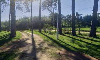 Imagem 3: Porto Alegre - Sítio - Boa Vista do Sul