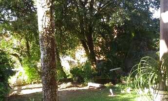 Imagem 3: Porto Alegre - Casa Padrão - Ipanema