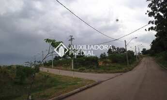 Imagem 3: PORTO ALEGRE - Terreno Padrão - Vila Nova