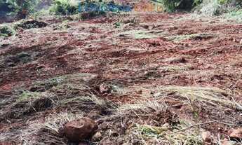 Imagem 5: Terreno em rua - Bairro Chácaras São Miguel em Londrina