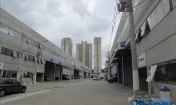 Imagem 6: COMERCIAL - PIRAPORINHA - SP