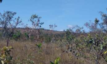 Imagem 5: Fazendinha 5 Hectares a 16k de 3 Marias