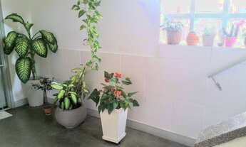 Imagem 4: Porto Alegre - Apartamento Padrão - Jardim Lindóia