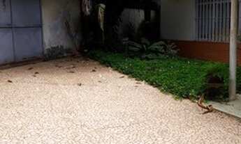 Imagem 3: CASA TÉRREA - VILA CLEMENTINO - SP