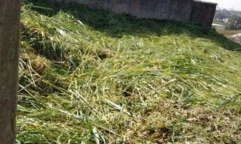 Imagem 7: Maravilhoso terreno!!! CONFIRA!!! AGENDE SUA VISITA!!!