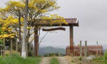 Imagem 4: LINDO SITIO 4 HECTARES - LOCALIDADE DE SUL BRASIL / TAMANDUA - RIO DO CAMPO -SC
