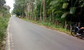 Imagem: Sítio com fonte no fundo