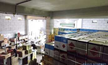 Imagem 4: GALPÃO - BUTANTÃ - SP