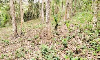 Imagem 7: Terreno a venda Vale das Videiras