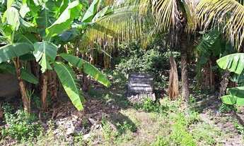 Imagem 3: Vendo a aceito propostas