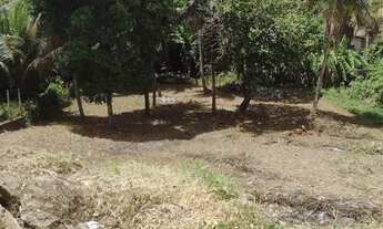 Imagem 3: BAIXOU 45000 cada