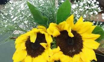 Imagem 7: Aluguel mensal Apartamento com 1 dormitório