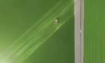 Imagem 2: Casa para alugar disponível pelas imobiliária Pessato e Nino