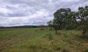 Imagem: Fazenda Cavalcante Goiás