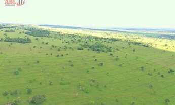 Imagem 6: Fazenda Lavoura para Venda em Paranaíba-MS - 3170