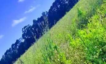 Imagem 6: 03cn-1U5NI20 Terreno / lote com venda por R$45.000