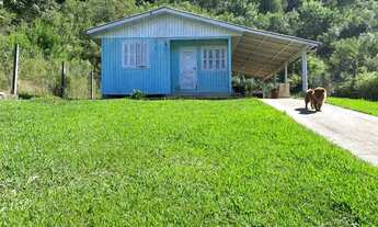 Imagem 2: Gramado - Casa Padrão - Moura