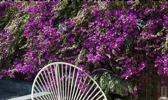 Imagem 6: RNU- FLAT EM TAMANDARÉ A 400M DA PRAIA, TERRAZZA BEACH RESIDENCE, PRÓX DO PARQUE ACQUAVEN