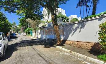 Imagem 6: Casa para aluguel possui 310 metros quadrados com 3 quartos em Granja Julieta - São Paulo