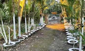 Imagem 2: CHÁCARA COM CHURRASQUEIRA E LAGO EM ITANHAÉM