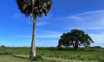 Imagem 3: Loteamento Irará