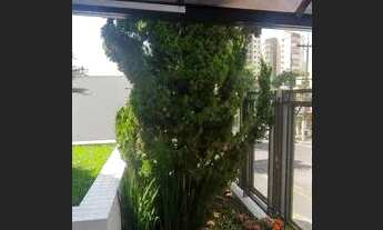 Imagem 2: CONJ. COMERCIAL - SAÚDE - SP