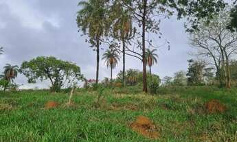 Imagem 3: Chácara com lagoa passando nos fundos