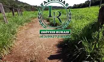 Imagem 3: Chácara 2,5 Alqueires