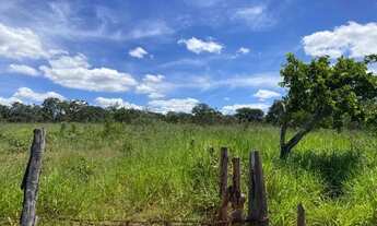 Imagem 2: Fazendinha 20 mil m²,terra ideal pra cultivo, bem localizado, Jaboticatubas