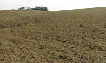 Imagem 6: Sítio, Ribeirão Branco