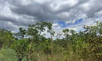 Imagem 7: Terreno 12 ha, terra plana e boa para plantio, boa localização, Jaboticatubas