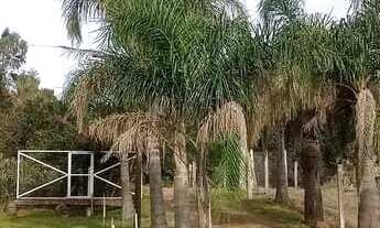 Imagem 4: Chácara com casa alvenaria 130 metros quadrados e com suite