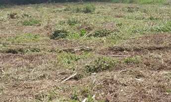 Imagem: Locação de área para plantio