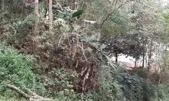 Imagem 3: Lote em Rua Marques - Quarta Divisão - Ribeirão Pires/SP