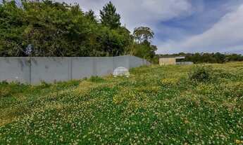 Imagem 5: Vendas Terreno Curitiba PR