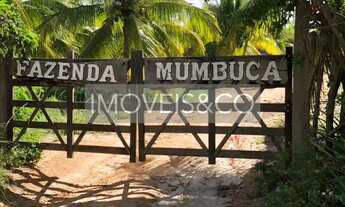 Imagem 2: ESPETACULAR: Fazenda com vista para o mar, à venda em Conde-BA, Barra do Itariri - 2 quart