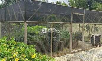 Imagem 4: Morro do Chapéu - Casa Residencial 7 quartos à venda na Anuar Donato