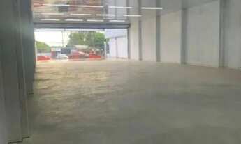 Imagem 3: GALPÃO RODOVIA AUGUSTO MONTENEGRO - 1000m2