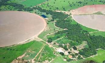 Imagem 2: Vende-se uma excelente fazenda