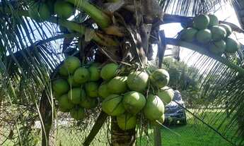 Imagem 3: Imóvel para venda possui 200000 metros quadrados com 2 quartos em b - Presidente Figueired