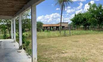 Imagem 4: FAZENDA 153 HECTARES EM ITAPIPOCA DOCUMENTADA OPORTUNIDADE ÚNICA DE INVESTIR