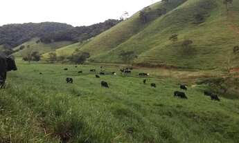Imagem 4: Venda-se está fazenda de 88 alqueires no Estado de MG