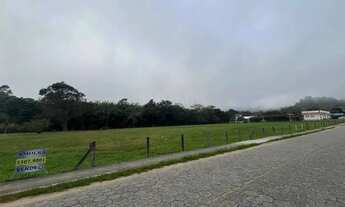 Imagem 4: Terreno plano 10.000m²