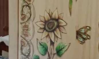 Imagem 4: Vendo linda chácara